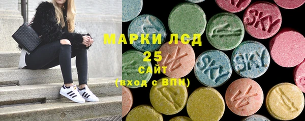 стаф Карпинск