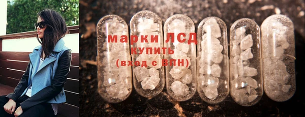 стаф Карпинск