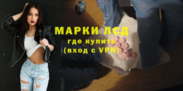 стаф Карпинск